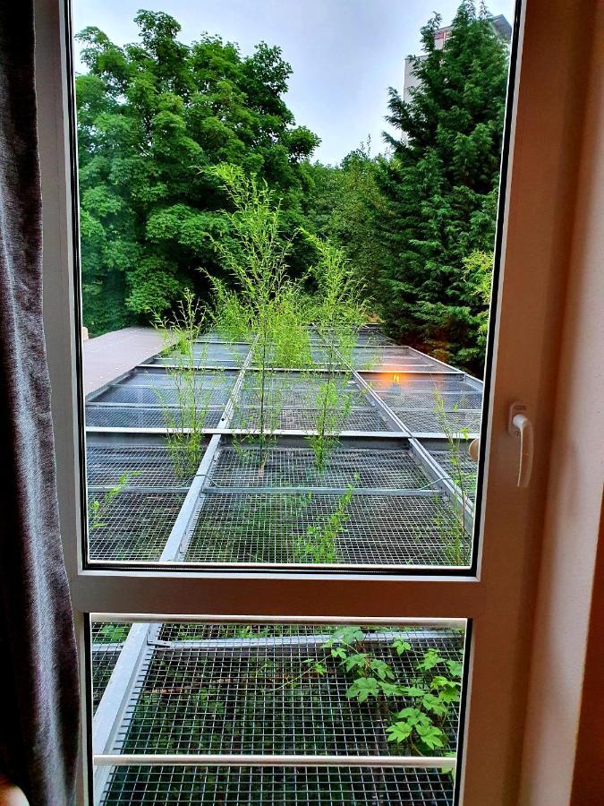 Papageiennest Appartement Dresden Buitenkant foto